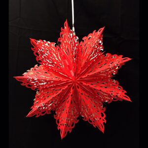Red Fire Snowflake