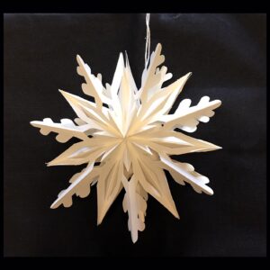 Small Snowflake 6