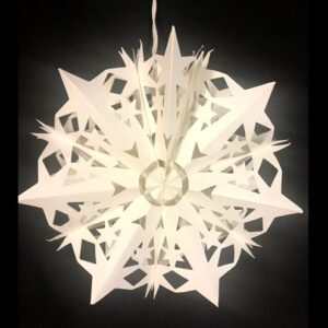 Small Snowflake 7